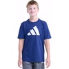Dk Blue